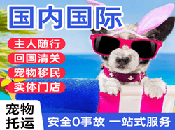 泉州机场货运国际宠物托运 【国